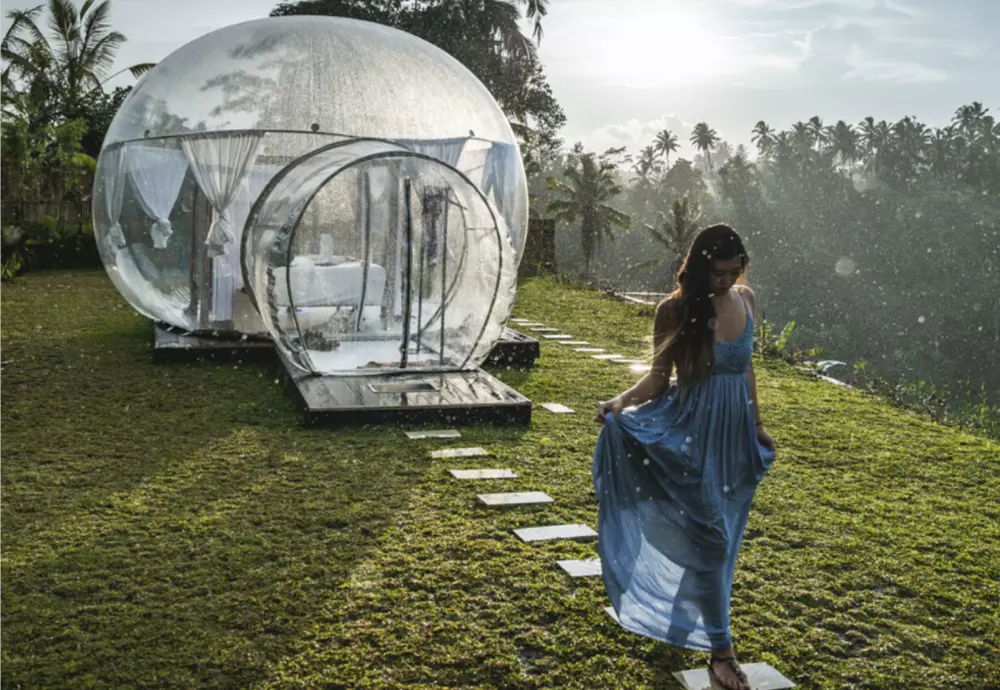 stargaze bubble tent for sale